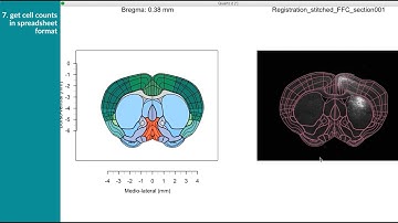 getting started: from a single tissue section to data