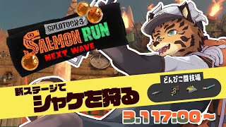 【サーモンランNW/どんぴこ】バイター達がクマサン商会を支配する【樫城槌/Vtuber】