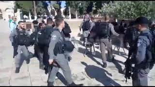 20180605 imemc org army attacks many palestinians abduct fifteen in al aqsa mosque
