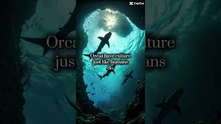 Ocean facts you probably didn’t know!! (Only the first image in the video is mine!!)