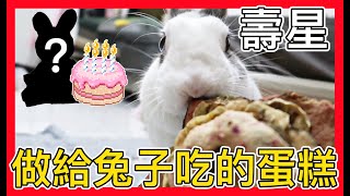 ❤️做給兔子吃的蛋糕 D.Va生日快樂 D.Va vlog#17 