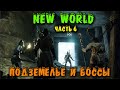 ПОХОД В ДАНЖ - New World Сервер Finias