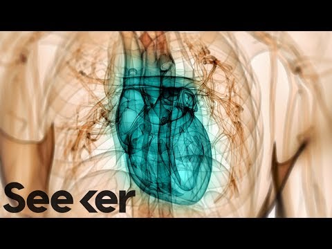 What Can Happen to the Human Heart After Months of Swimming? | The Swim