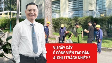Pháp lý vụ gãy cây ở công viên Tao Đàn khiến nhiều người thương vong - PLO
