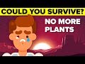 How Long Can You Survive If All The Plants In The World Die?