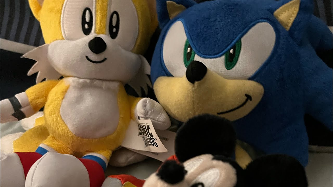 Sonic and tails go to Disneyland YouTube