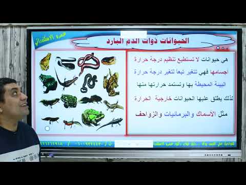 المملكه الحيوانيه الصف الاول الثانوي شعبه الحبليات د عمرو الاسكندراني