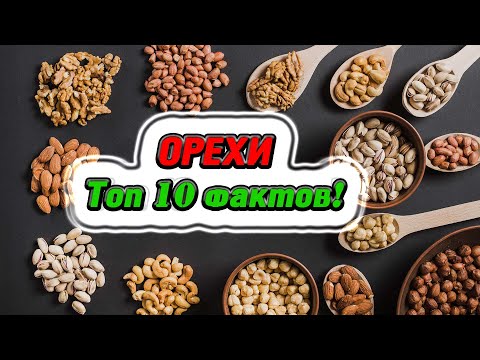 Орехи | Топ 10 интересных фактов
