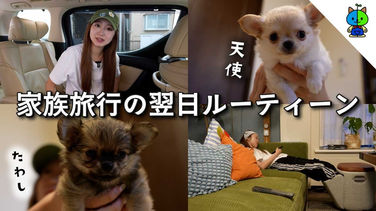 【vlog】家族旅行の翌日ルーティーン？ドリームゲート🐕【MOMOLOG_271】