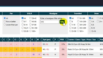 Race Guide Filters - In More Detail