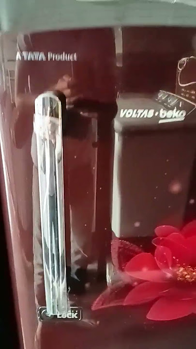 Why This Fridge is Worth Every Penny