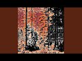 Sos Remix Feat Aïna