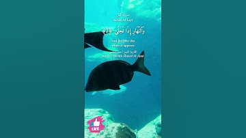 والليل إذا يغشى | سورة الليل #دعاء_ورسالة Surah Al-Layl