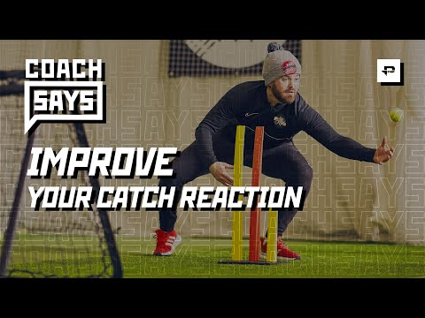 Wicket Keeping Drills 🎯Coach Says with Buzz About Cricket ft Crazy Catch