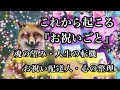朗報🌟今からあなたに起こる『お祝い事』㊗️🌟🎉貴方にお祝いことが沢山起こりますように🧡💛❤️
