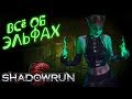 Метатип: Эльфы | Shadowrun