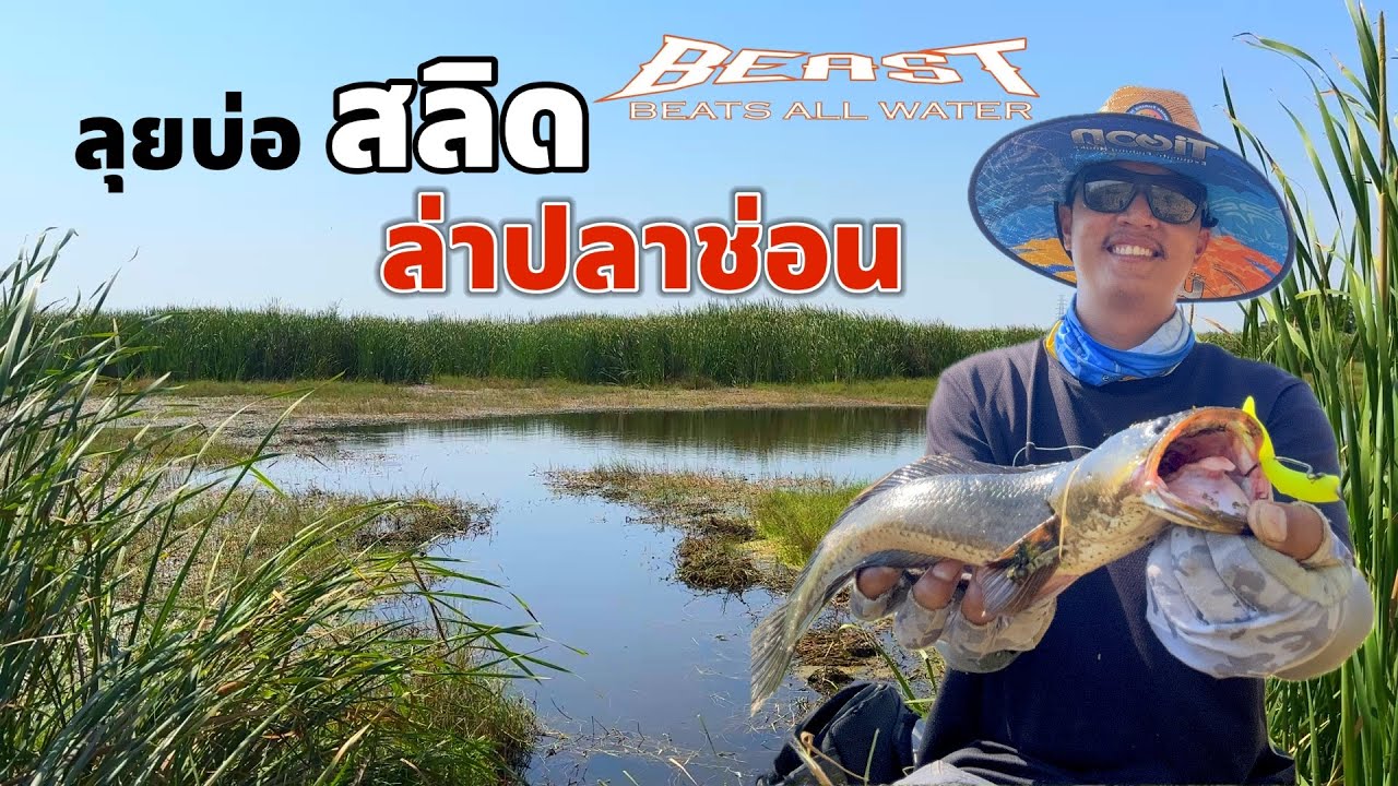 ตกช่อนบ่อสลิดเกือบไม่รอด แก้เกมใต้น้ำรู้เรื่อง ปลายาง Longkor(ลงคอ)