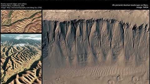 Formation and Life of a Granular Cyclone
