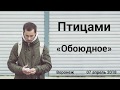 Птицами – Обоюдное