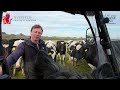 Report: Sustainable Forage Cropping for Dairy Cattle in the Face of Climate Change Challenges