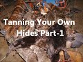 Tanning Your Own Hides Part-1