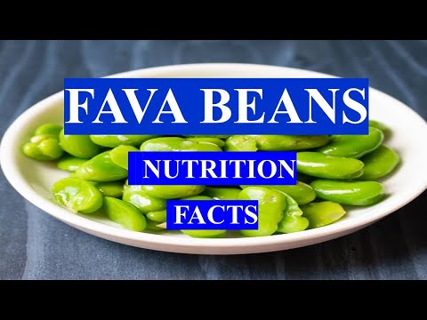 FAVA BEANS VEGETABLE  - HEALTH BENEFITS AND NUTRIENT FACTS