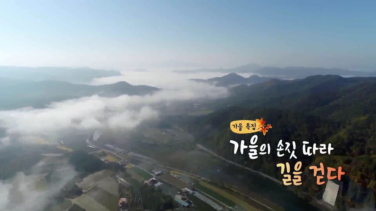 newspaper mockup [UHD 다큐 풍경] 가을의 손짓 따라 길을 걷다…가을 특집 / 연합뉴스TV (YonhapnewsTV)