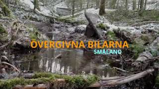 UE - De övergivna bilarna i ladan / Barnfind sweden