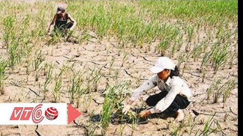 Hạn và ngập mặn thế kỷ tại ĐBSCL | VTC