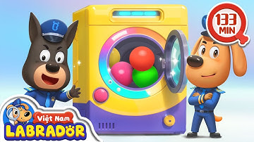 🎁 Cảnh sát Labrador và chiếc hộp ma thuật 👮 Cảnh sát trưởng Labrador Vietnam 🚔