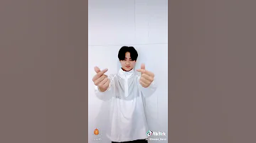 I LAND TIKTOK DANIEL 