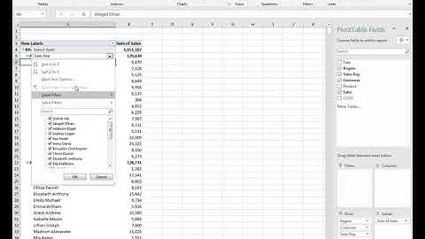 13   Using Value & Label Filters with Pivot Tables in Microsoft Excel