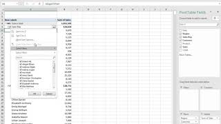 13   Using Value & Label Filters with Pivot Tables in Microsoft Excel