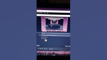 How to hide mouse cursor in obs window capture #shorts #obs