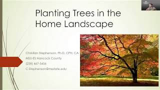 Planting Trees in the Home Landscape