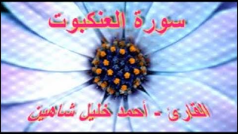 أحمد خليل شاهين - سورة العنكبوت