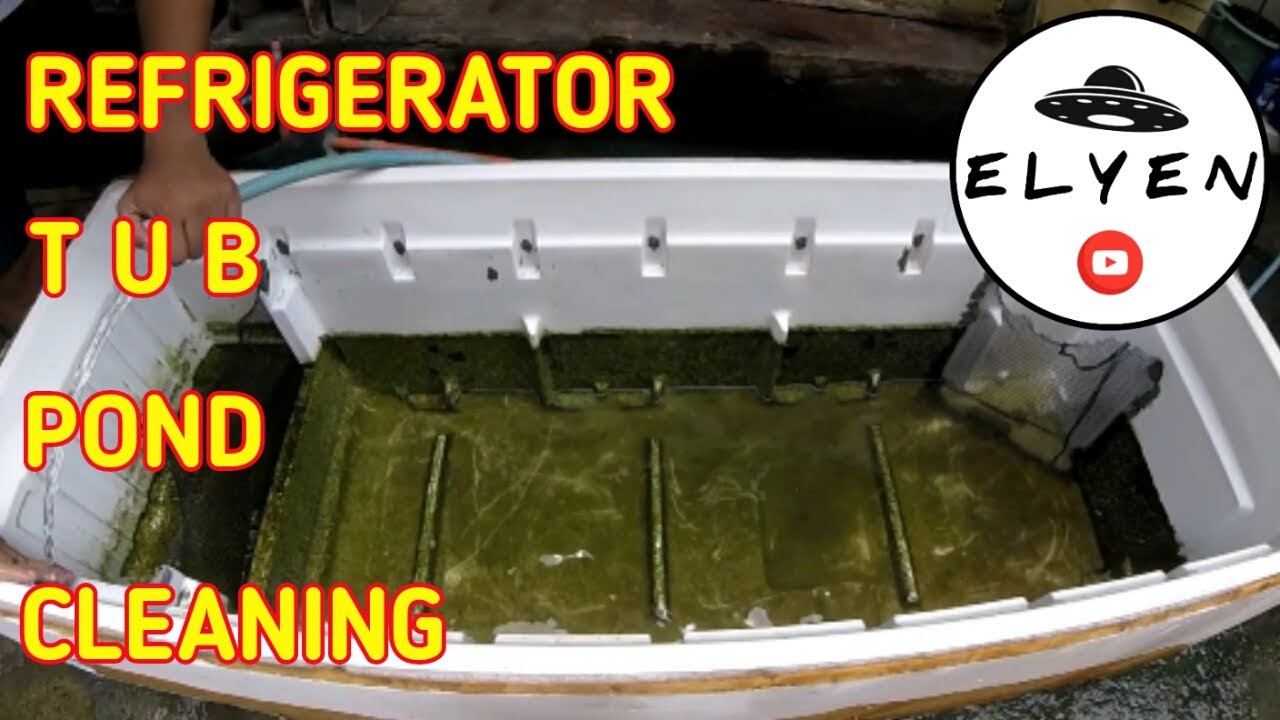 Ref Tub Fish Ref Tub Pond Cleaning | Koi and Goldfish | Gardjan Elyen - YouTube