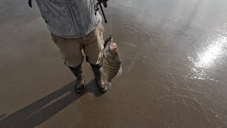 I Suck At Fishing #surffishing #montereybay #fishingintherain #whalebone