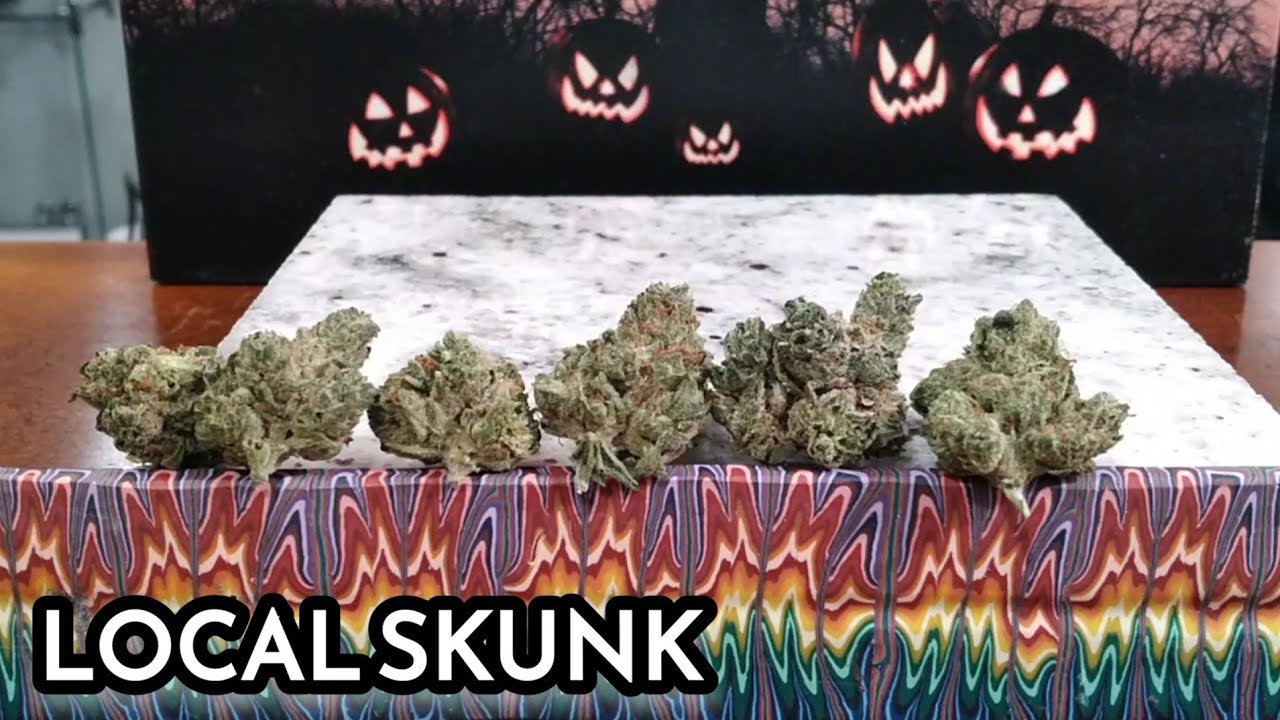 Nature's Heritage - Local Skunk