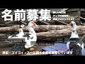 この動画のコメント欄で1番イイねが多い名前案に決定します↓