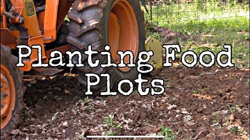 Small Poor Man Food Plots August 10th 2019