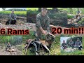 Ram hunting  spot and stalk  guys trip high adventure ranch