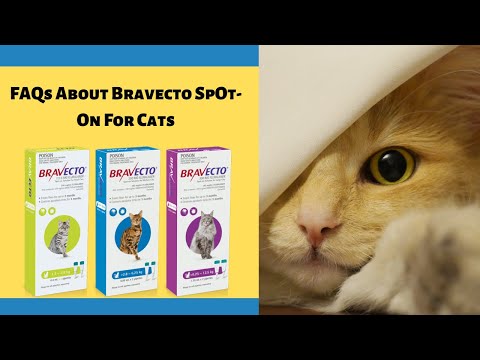 Video: Investigasi Kemanjuran Fluralaner Spot-on (Bravecto®) Terhadap Infestasi Ixodes Holocyclus Pada Kucing