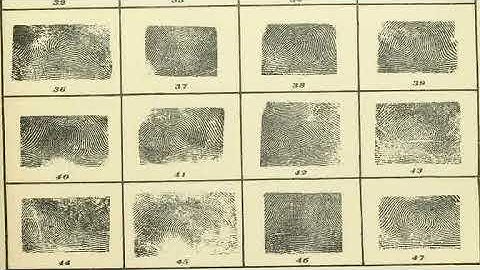 multiple intelligence test based on howard gardner
