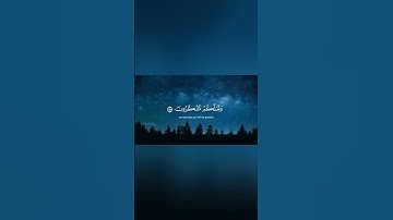 القارئ عمير شميم(يريد الله بكم اليسر) Reader Amir Shamim