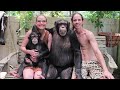 Day in the life of a two year old chimpanzee