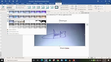 How to insert signature in word document