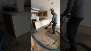 Apartment carpet cleaning with rotovac 360i running Apex 570 sapphire scientific