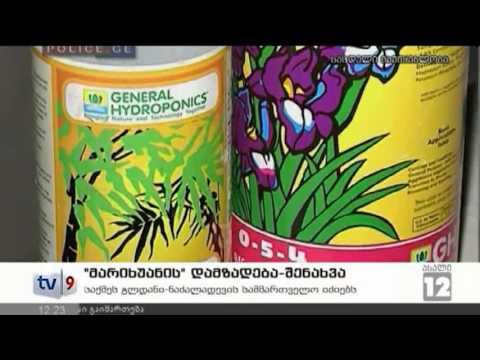 ახალი 12 | ეჭვმიტანილის დაკავება | 09.01.13