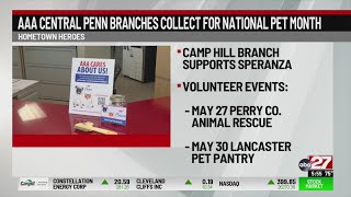 AAA Central Penn helping homeless pets